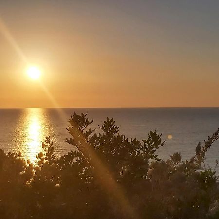 Apartament Casa Mela Castelsardo Zewnętrze zdjęcie
